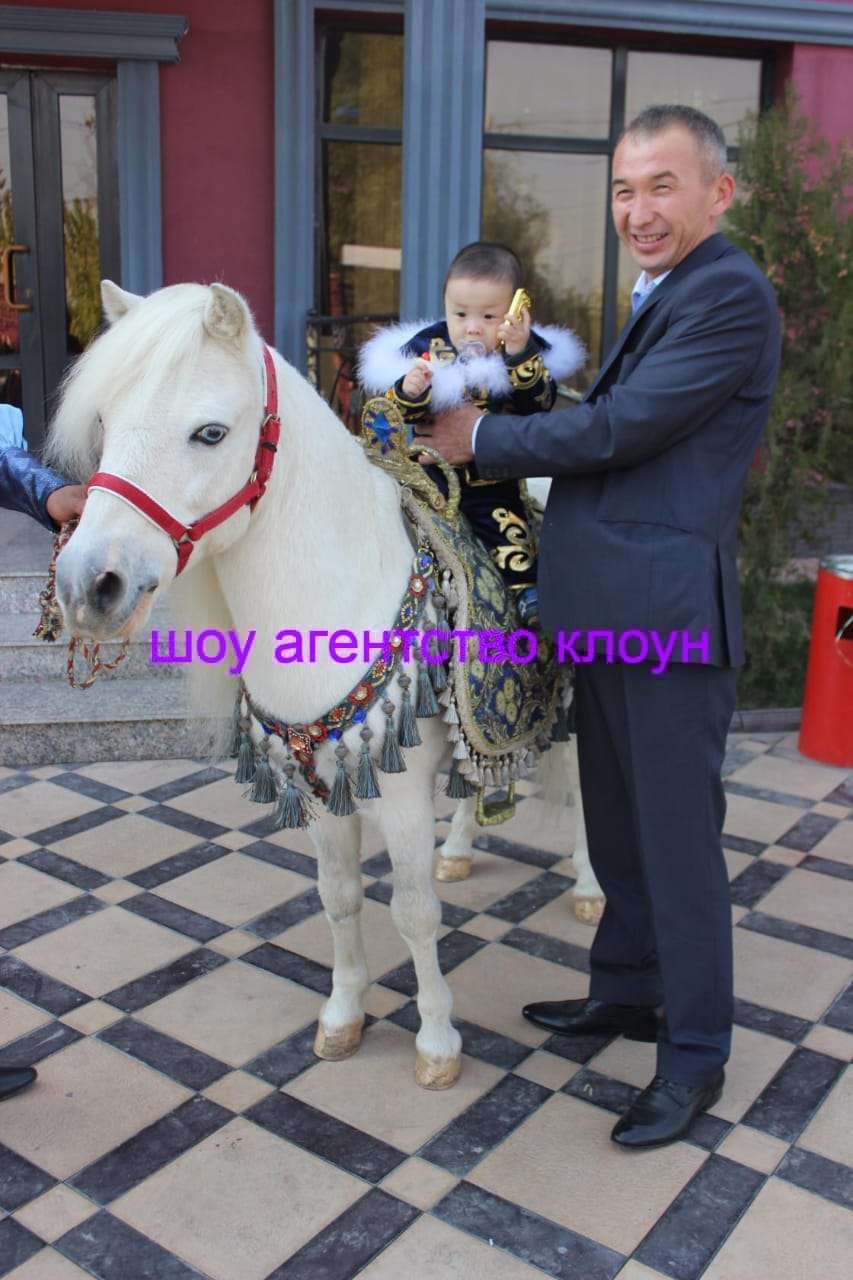 Прокат Пони в Алматы. Хотите удивить детей на празднике?